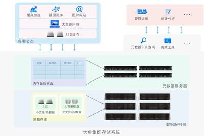 大鱼存储技术解析 海量小文件处理与聚存科技的数据分析之道